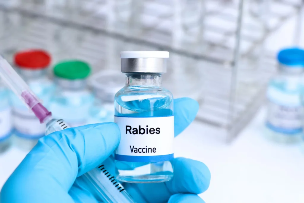 Rabies Vaccination UK